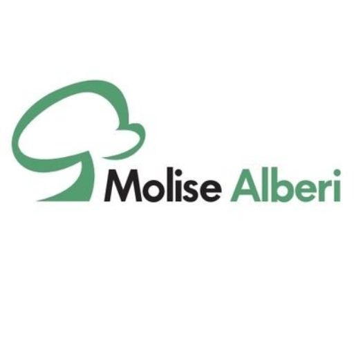 Avatar Molise Alberi | Molisealberi in Piemonte con Tiziano Fratus